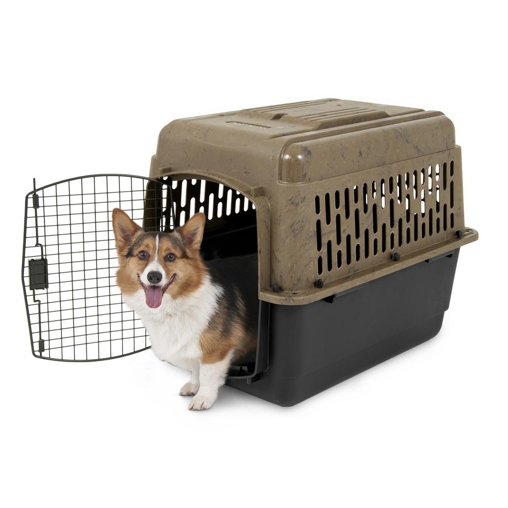cozy kennels
