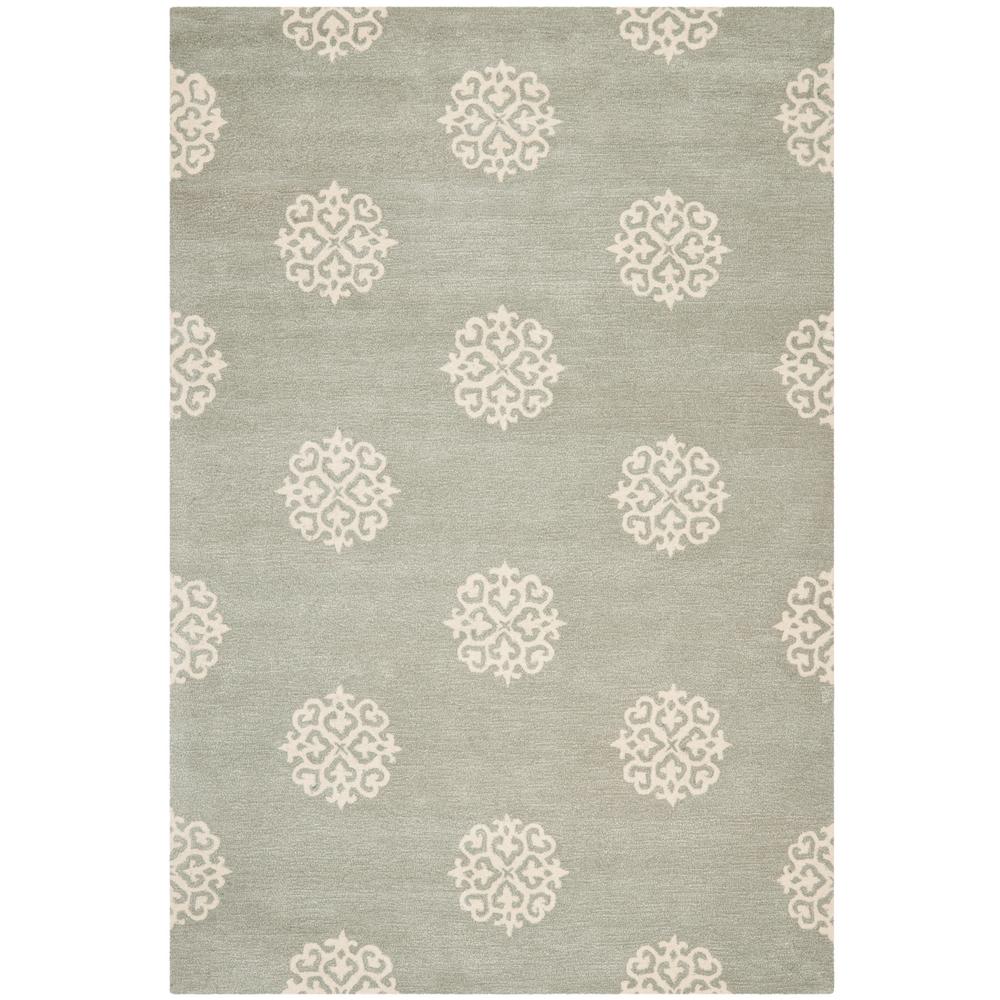 Safavieh Soho Grey Ivory 5 Ft X 8 Area Rug