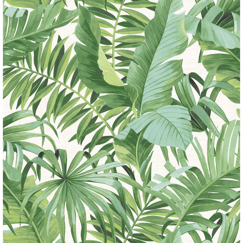 A Street Prints Alfresco Green Palm Leaf Paper Strippable Roll Wallpaper Covers 56 4 Sq Ft 2744 The Home Depot