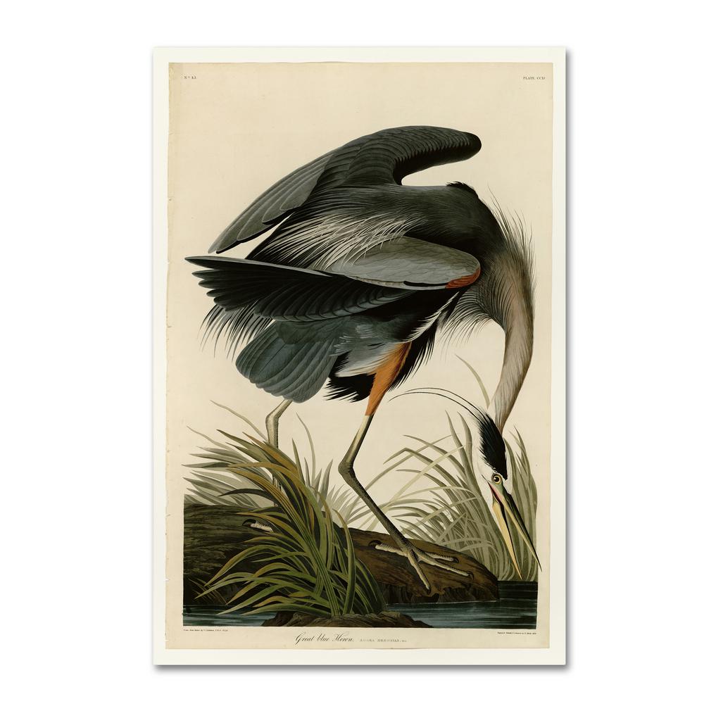 Trademark Fine Art Great Blue Heron By John James Audobon Floater Frame Animal Wall Art 22 In X 32 In Aa01280 C2232gg The Home Depot
