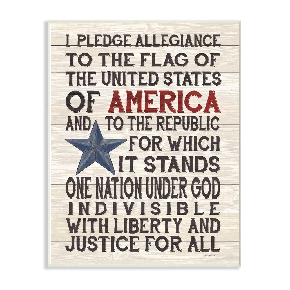 The Stupell Home Decor Collection 10 In X 15 In Pledge Of