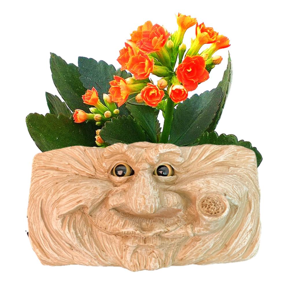 Grandpa Old Hickory Stone Wash 10 5 In Muggly Face Statue Tree Grandpa Old Hickory Stone Wash 10 5 In