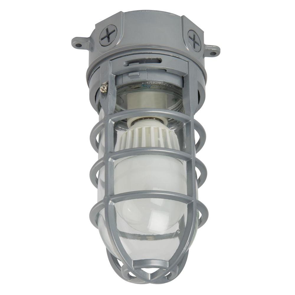 Lithonia Lighting 1-Light Grey Outdoor LED Ceiling/Hanging ...