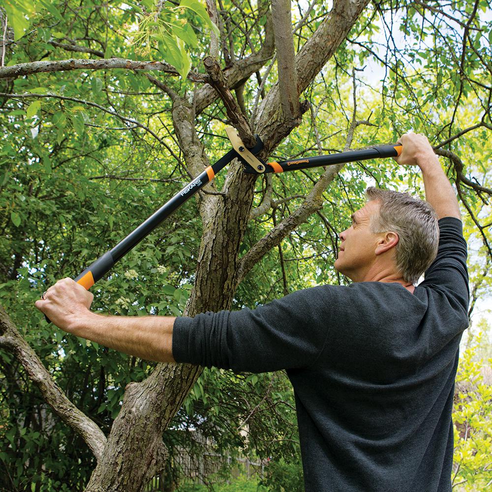 Escape using tree cutter прохождение