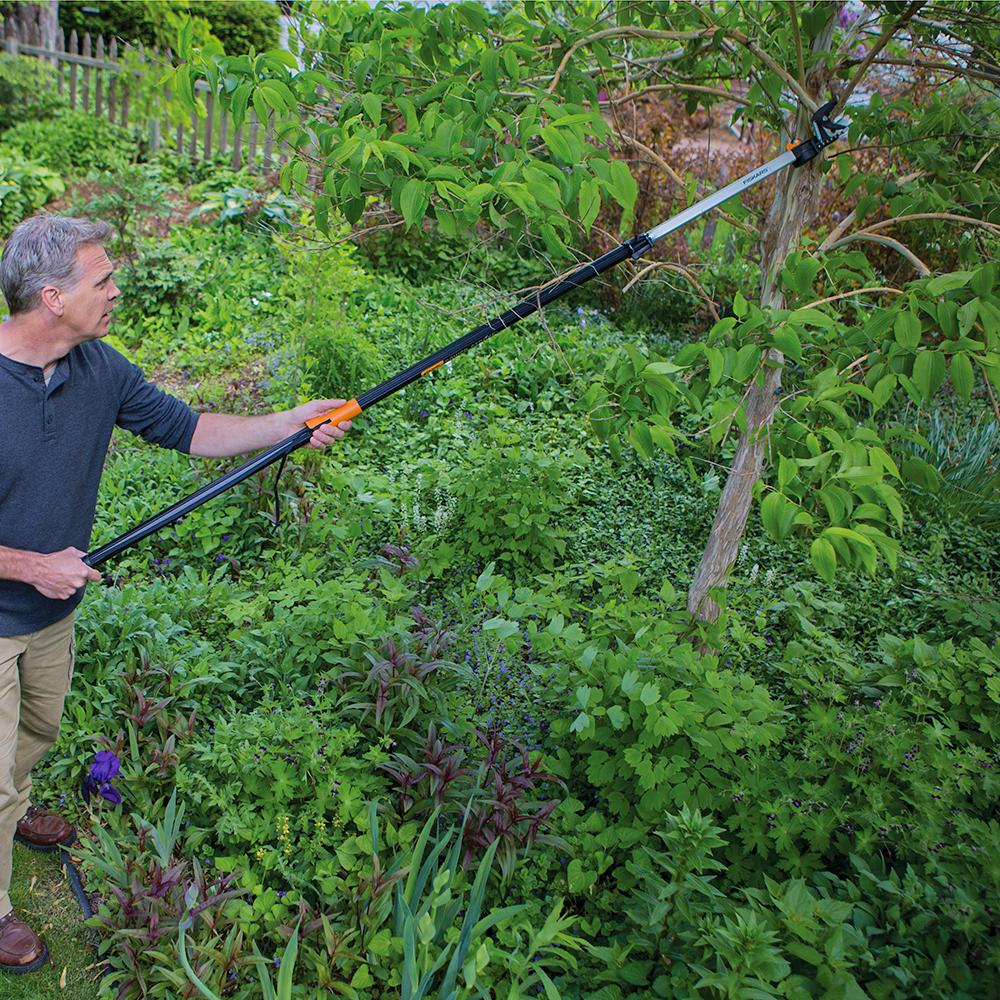 Biologie projekte des gymnasium gevelsberg