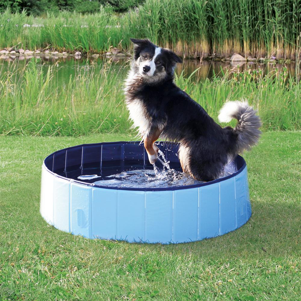 pet pool