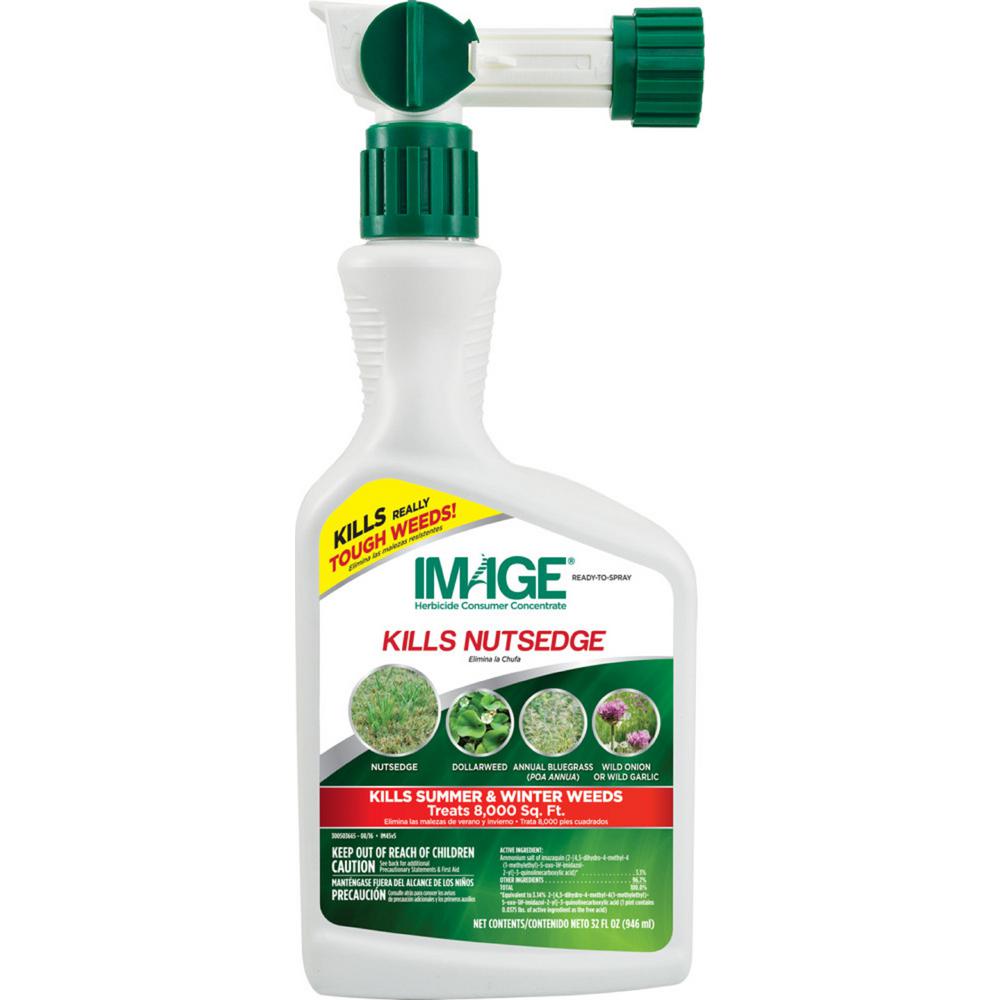 IMAGE 32 oz. ReadytoSpray Nutsedge Killer100099407 The Home Depot