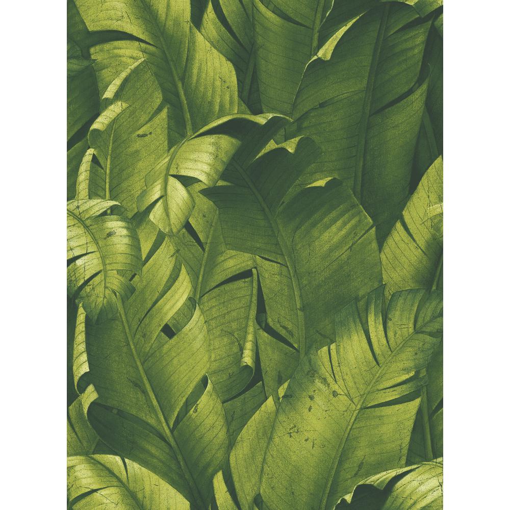 Nextwall Tropical Banana Leaves Vinyl Peelable Wallpaper Covers 30 75 Sq Ft Nw The Home Depot