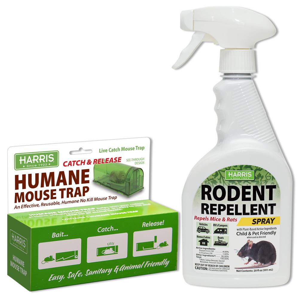 Homemade Rodent Repellent Spray