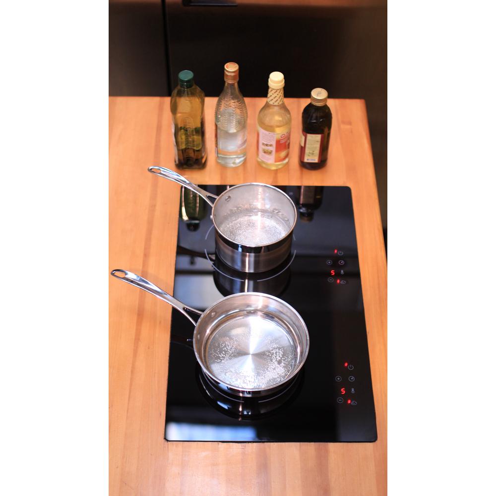 True Induction Dual Burner 24 In Induction Cooktop Vertical