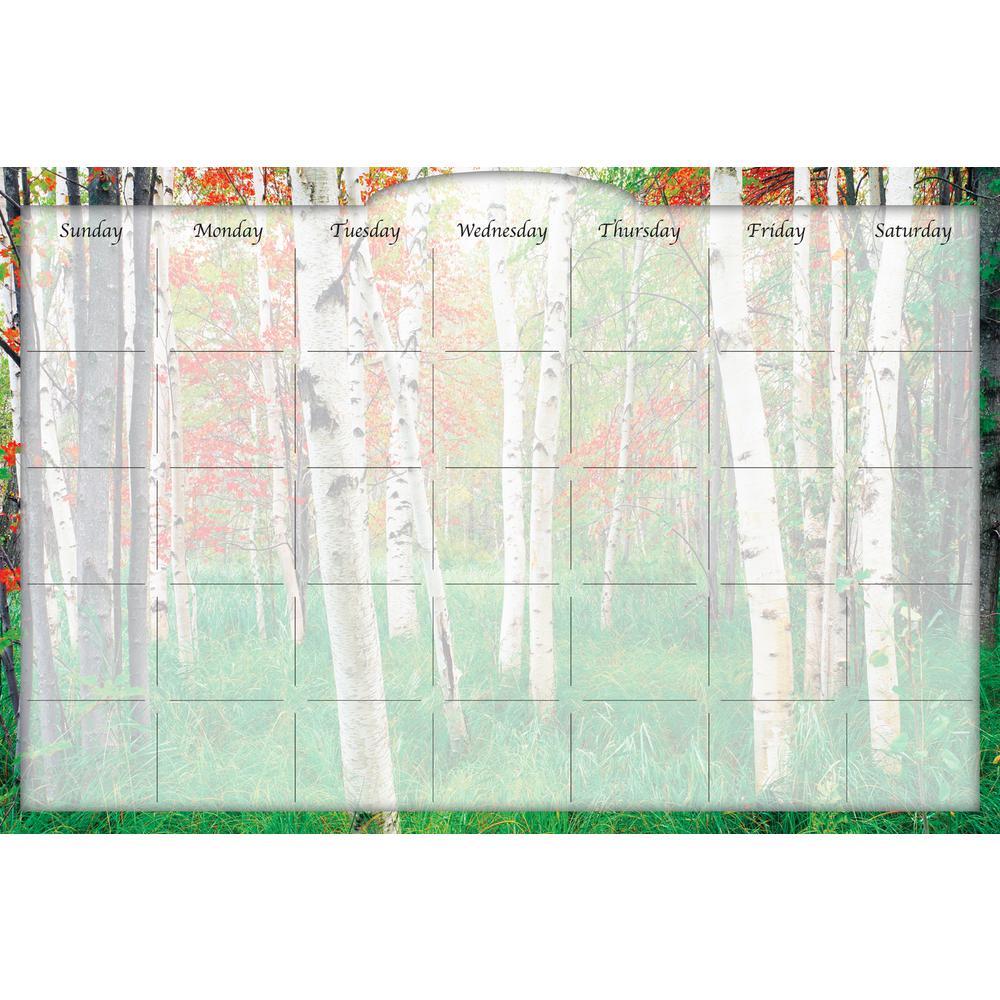 Biggies Multi Color 36 in. x 24 in. Water Wheel Dry Erase Stickie