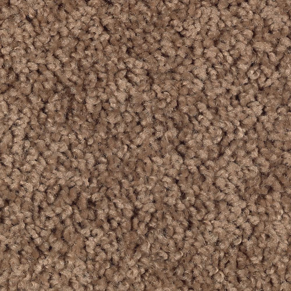  Home  Decorators  Collection  Carpet Sample Bel Ridge 