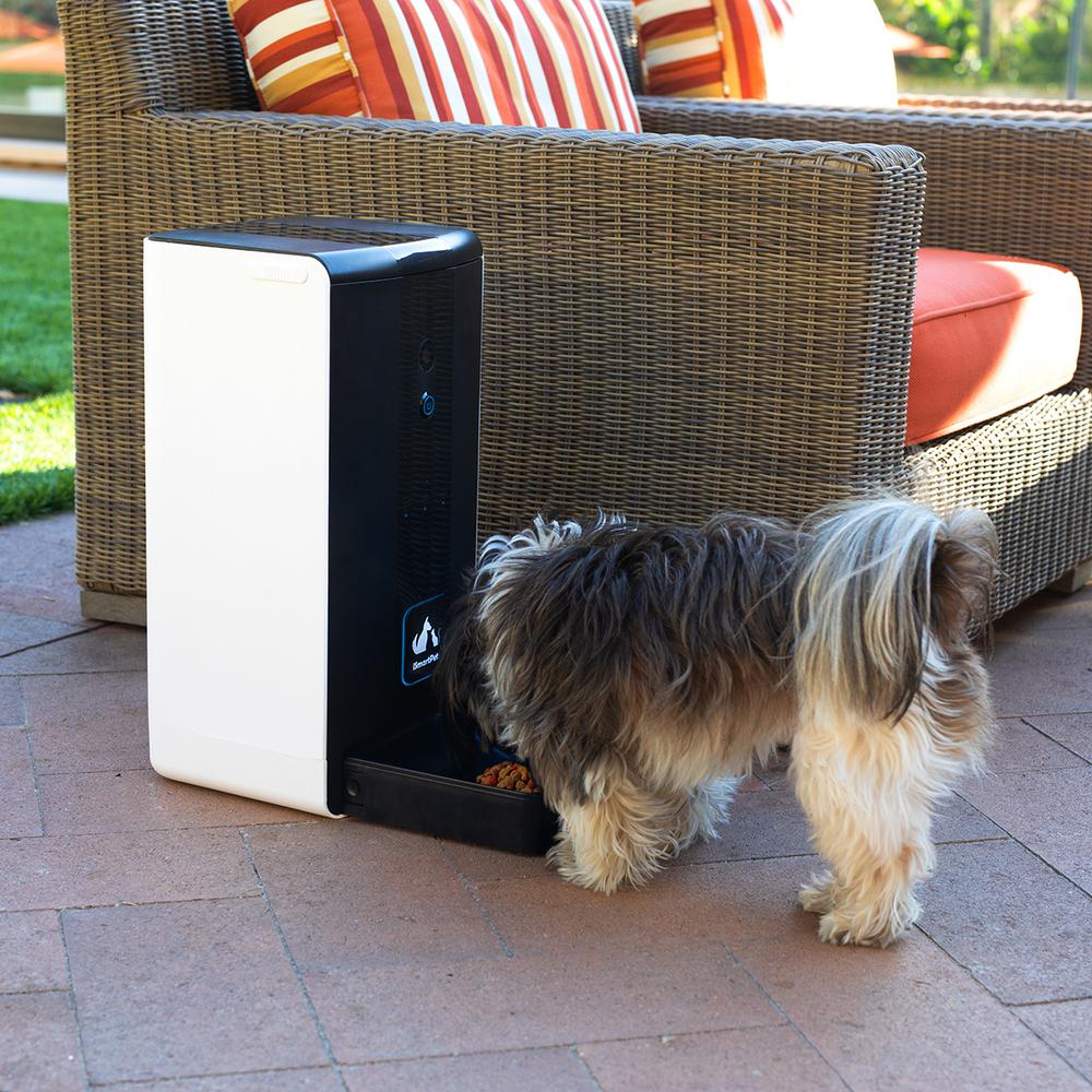 smart home dog feeder