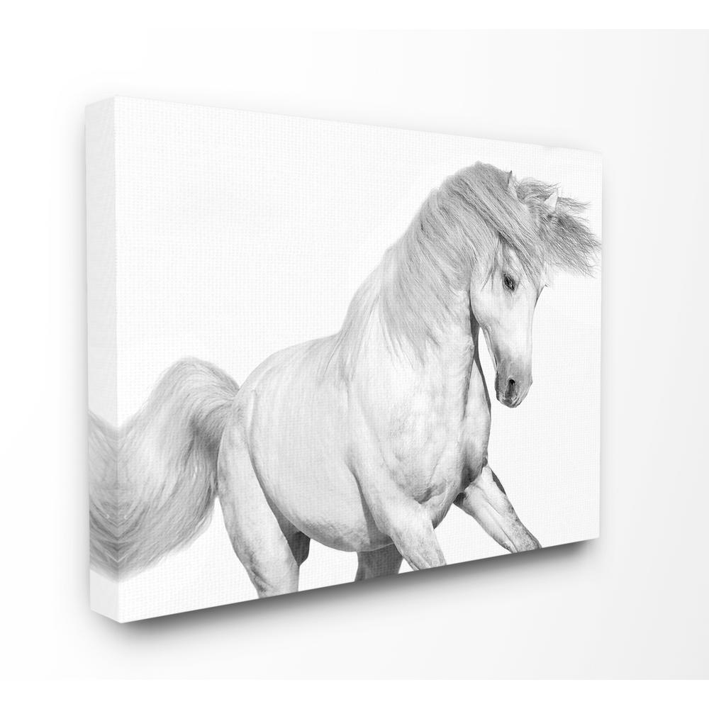 Stupell Industries 24 In X 30 In Majestic Black And White Horse Bucking In The Wind Painting By Artist Samantha Carter Canvas Wall Art Aap 218 Cn 24x30 The Home Depot