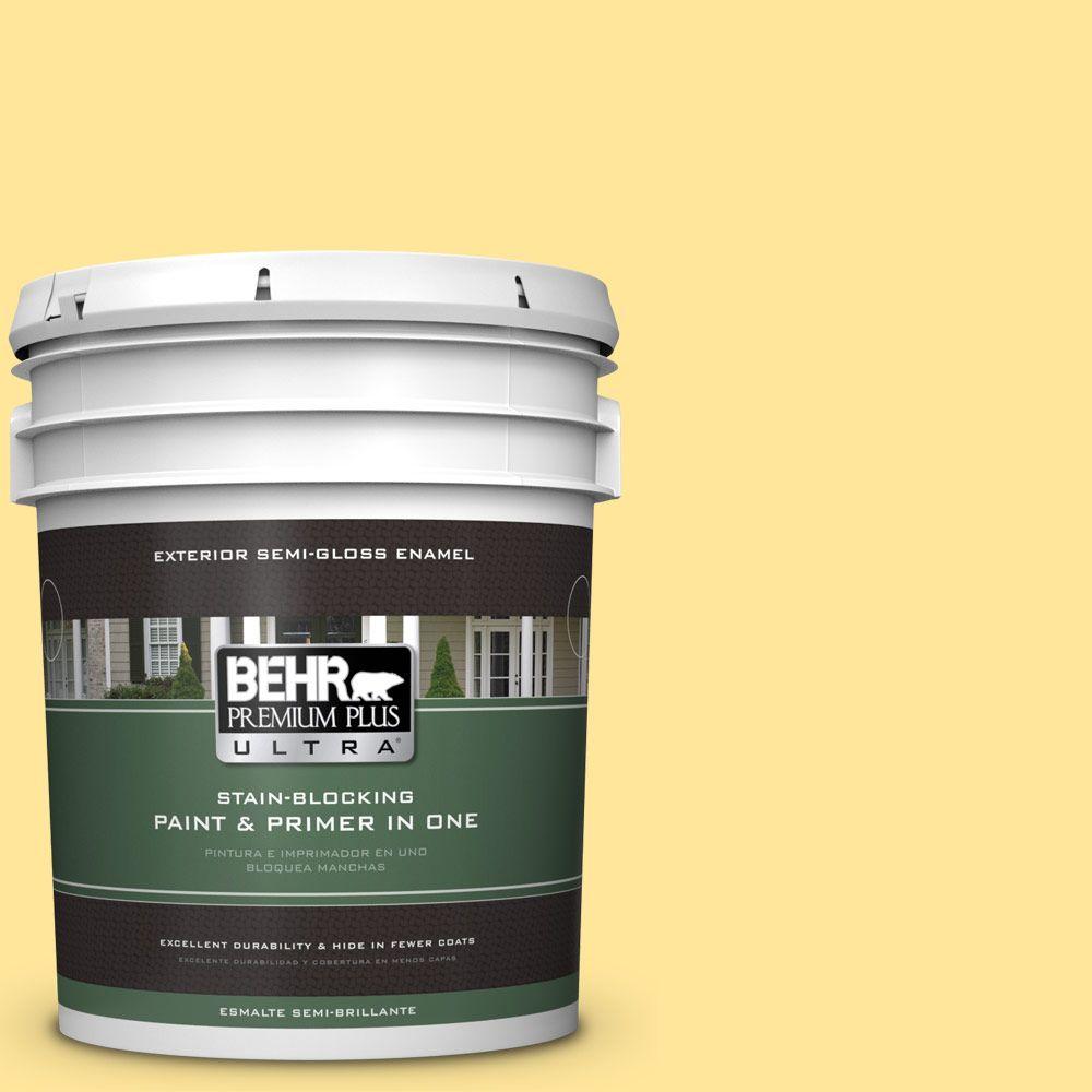 BEHR Premium Plus Ultra 5gal. 380A3 Summer Harvest SemiGloss Enamel