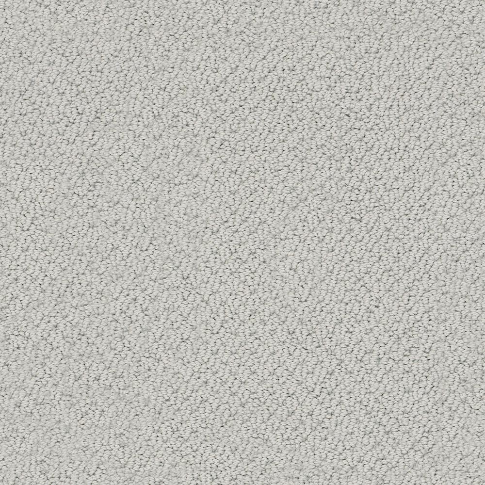 Lifeproof Dublin Color Lunar Loop 12 ft. CarpetHDF0099594 The Home