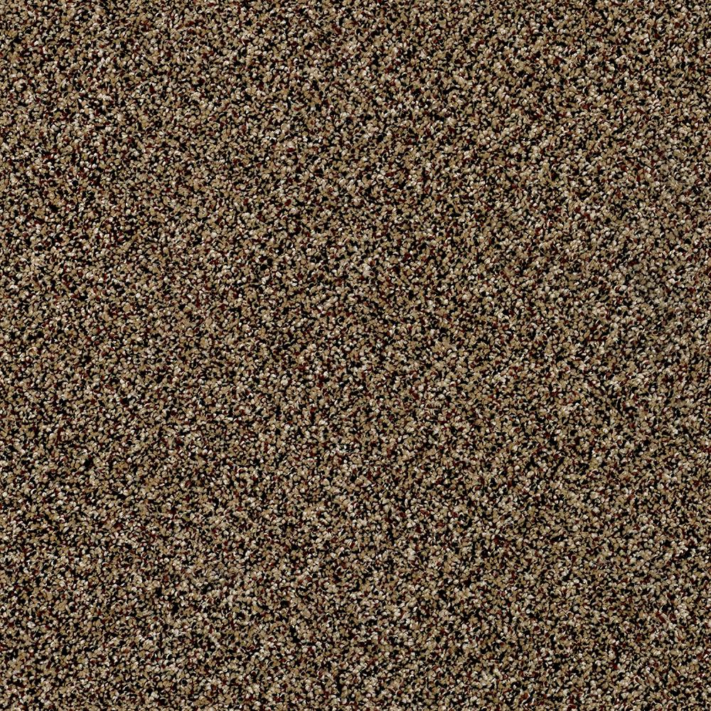  Home Decorators Collection Carpet  Sample Wholehearted II 