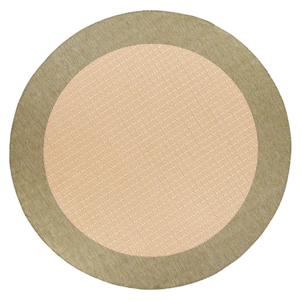 Home Decorators Collection Pueblo Design Green/Natural 9 ft. x 13 ft