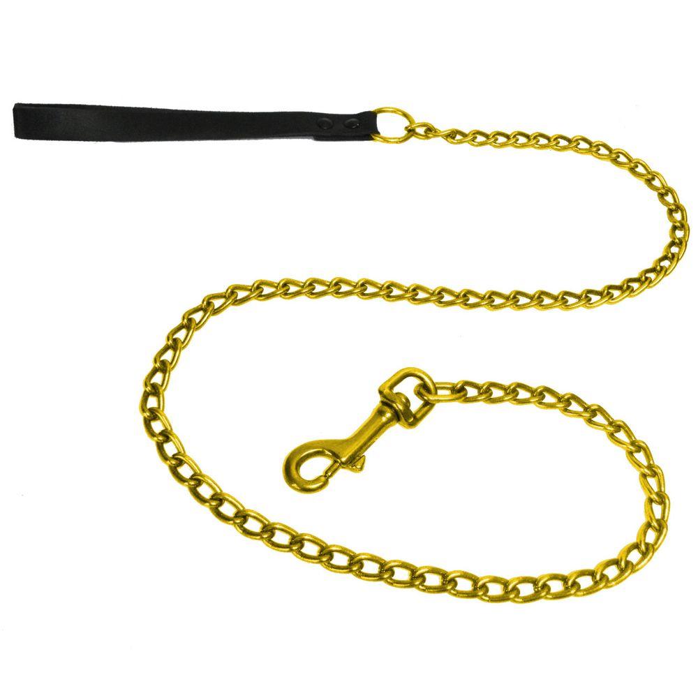 gold chain leash for dogs