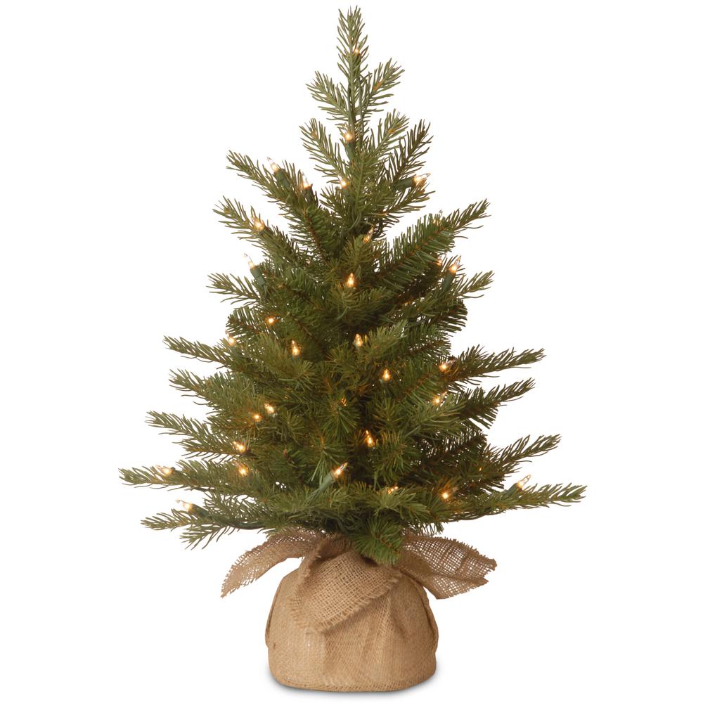 https://images.homedepot-static.com/productImages/5aa11ac0-3132-4b07-a010-98e727283098/svn/national-tree-company-christmas-centerpieces-pens1-333-20-1-64_1000.jpg