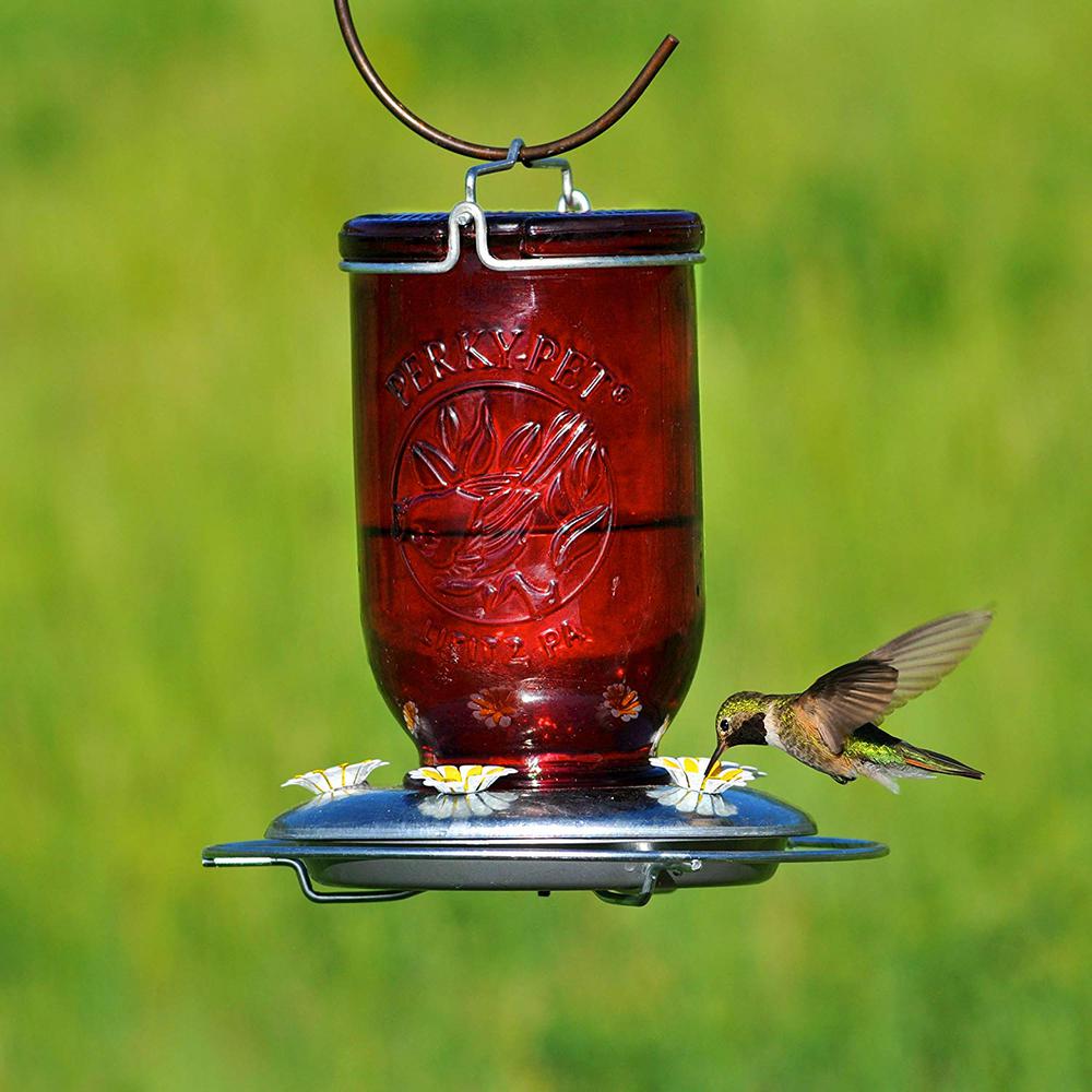 Perky Pet Red Mason Jar Decorative Glass Hummingbird Feeder 32