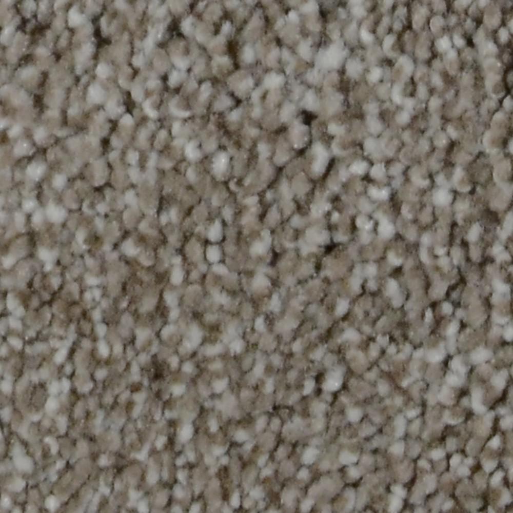 Platinum Plus Carpet Sample Harvest Ii Color Mccoy Platinum Plus Carpet Sample Harvest Ii Color Mccoy