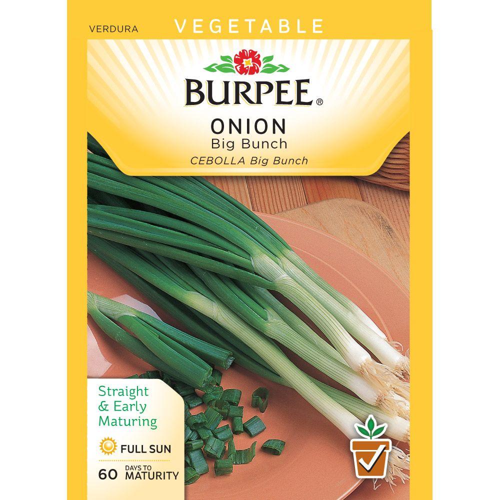 Stover Seed Sweet White Spanish Onion Seed790766 The Home Depot