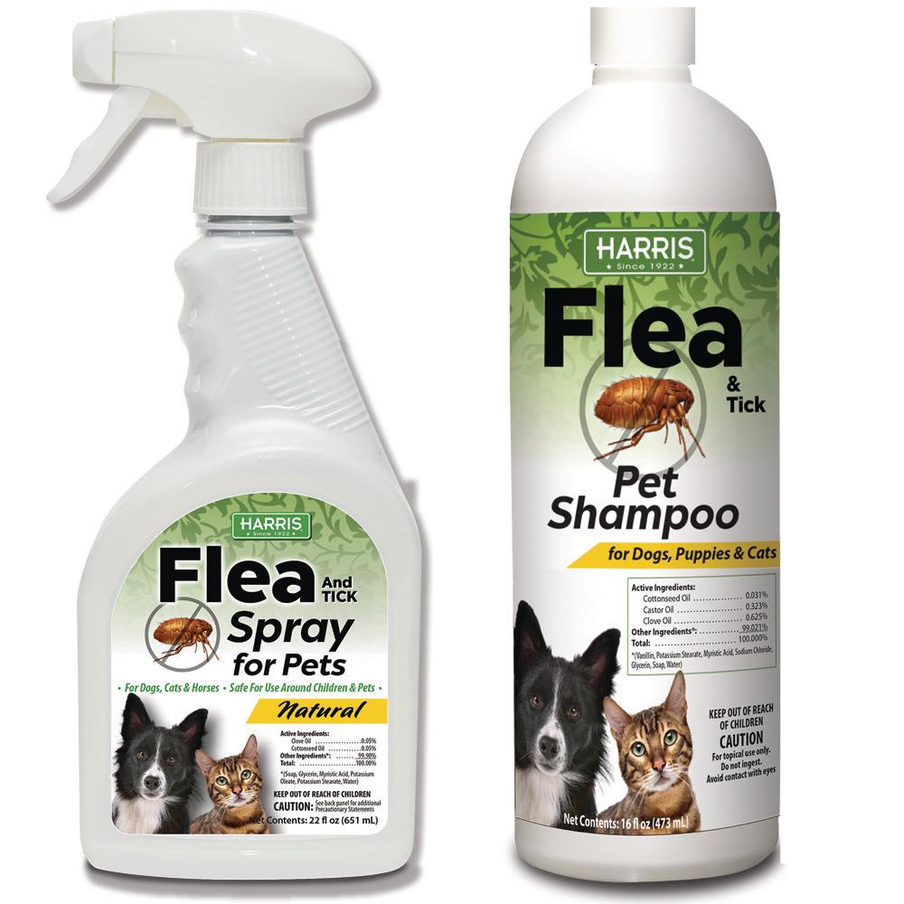 safest flea control for dogs