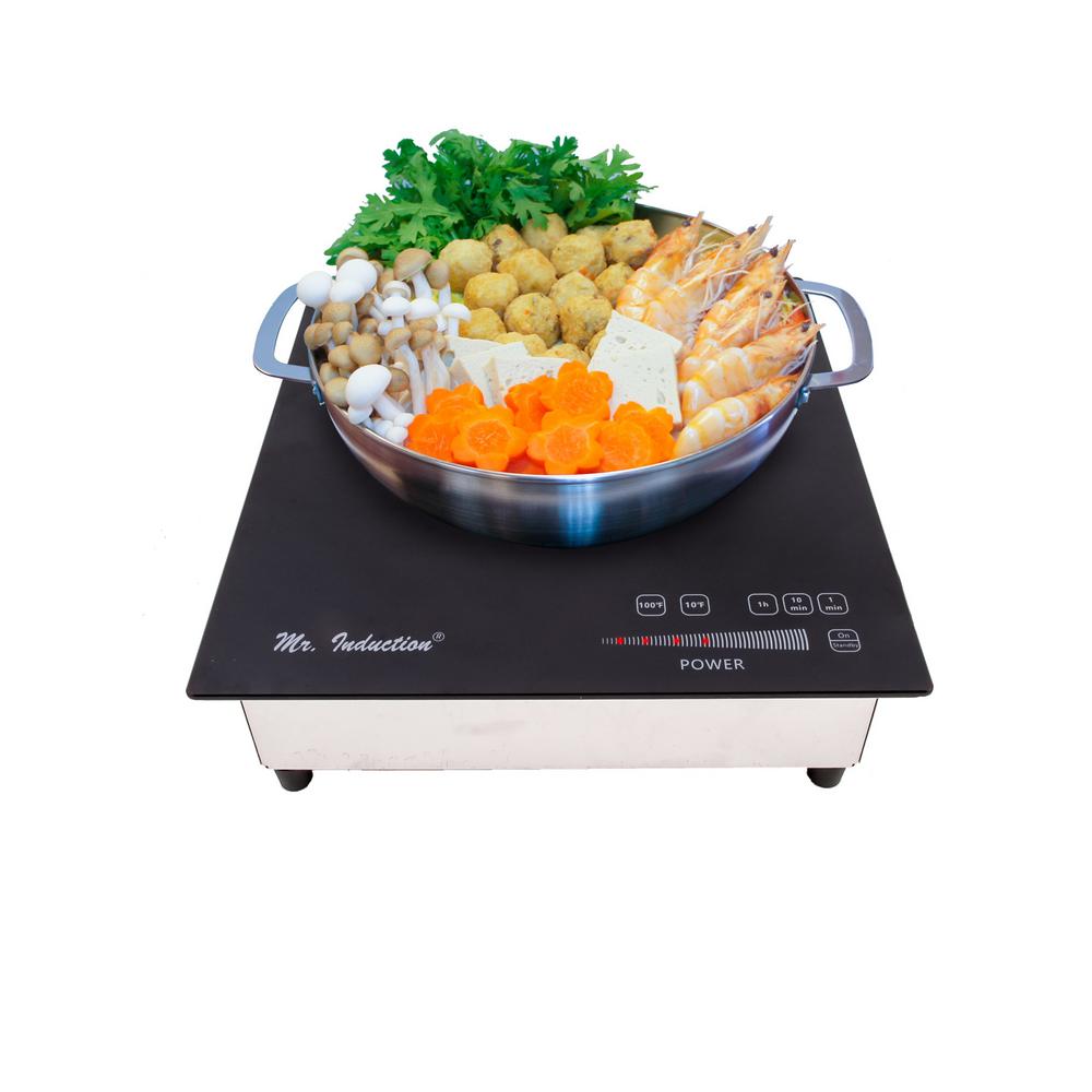 Spt 12 In Built In Electric Commercial Induction Cooktop In Black