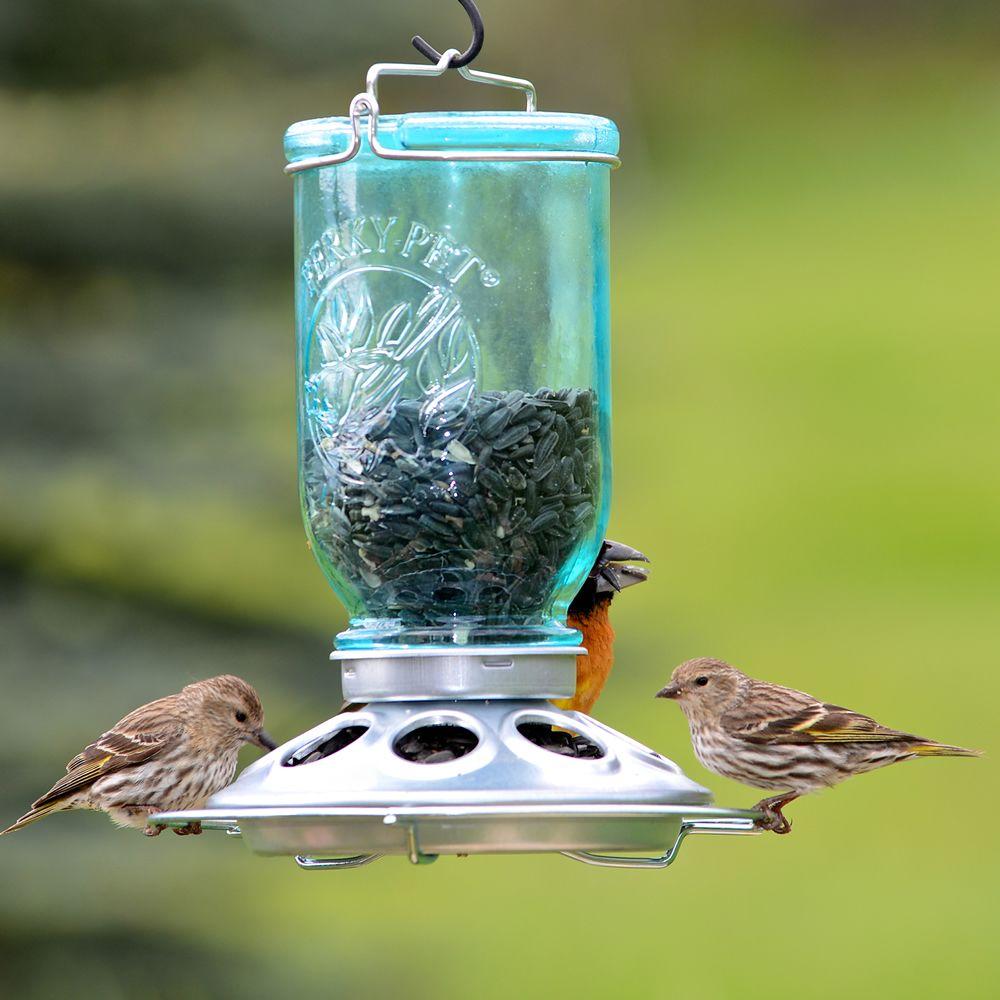 Perky Pet Blue Mason Jar Decorative Glass Hanging Bird Feeder 1