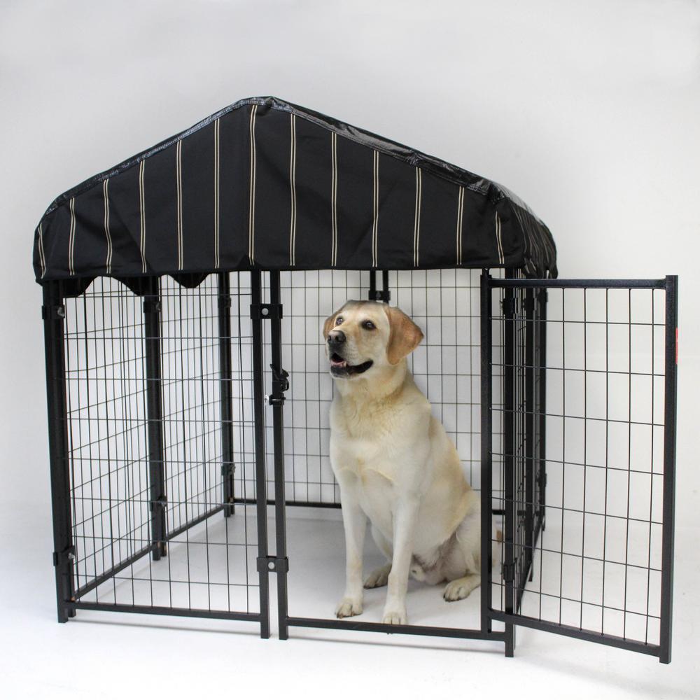 kennel pet