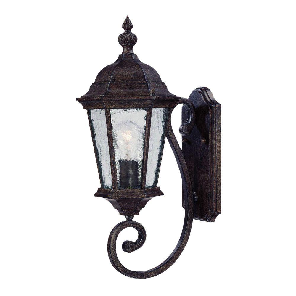 Acclaim Lighting Telfair Collection 1-Light Black Coral Outdoor Wall ...