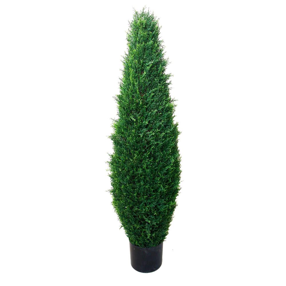 Romano 3 5 Ft Cypress Tree 50 10009 R The Home Depot Romano 3 5 Ft Cypress Tree 50 10009 R