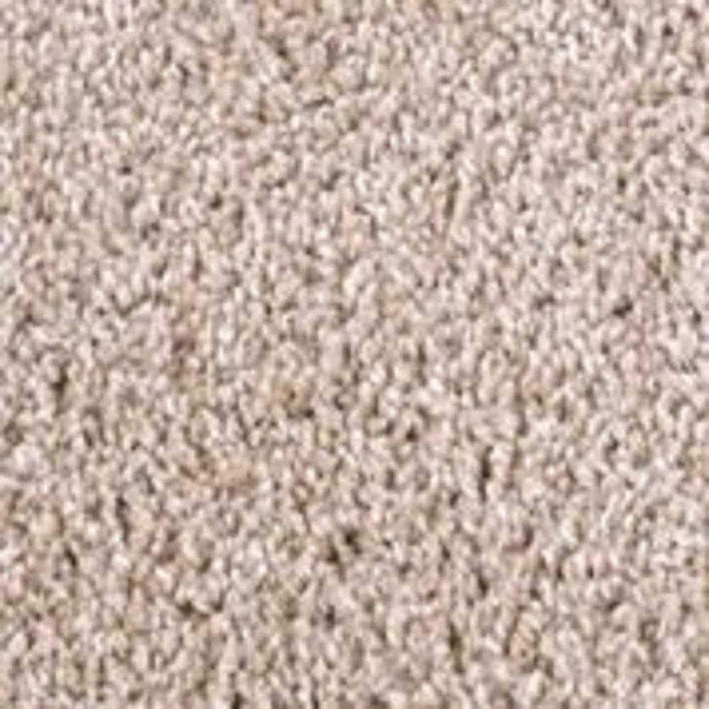 ruler trafficmaster texture carpet 1200