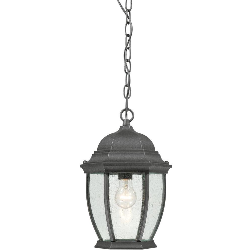 Thomas Lighting Covington 1 Light Hanging Outdoor Black Lantern