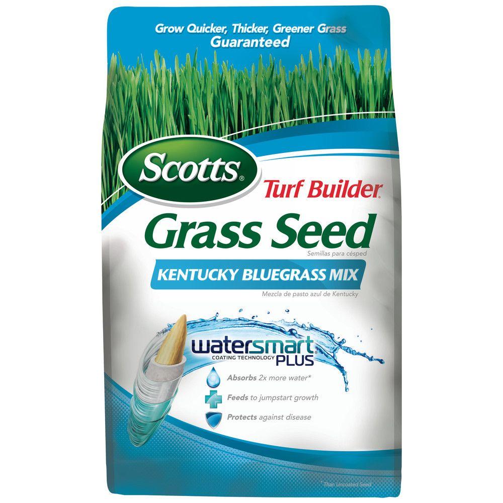 Scotts Turf Builder 7 lb. Kentucky Bluegrass Mix Seed-18269 - The Home