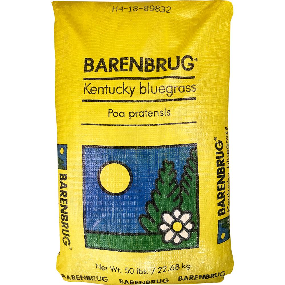 Barenbrug 50 lb. Barrister Kentucky Bluegrass Seed25076 The Home Depot