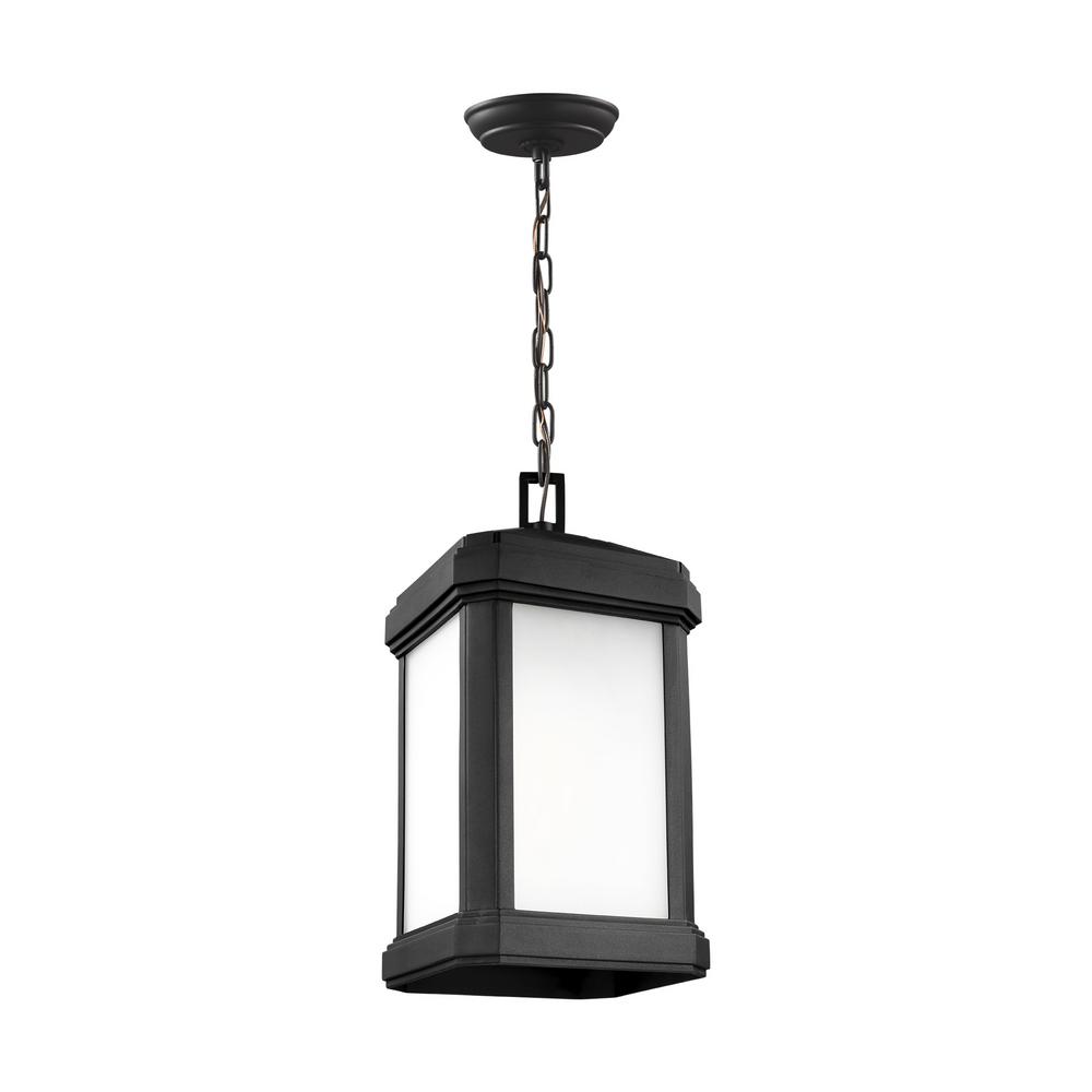 Weather Resistant Led Outdoor Pendants Hanging Lights Gaelan Black 1 Light Hanging Pendant With Led Bulb