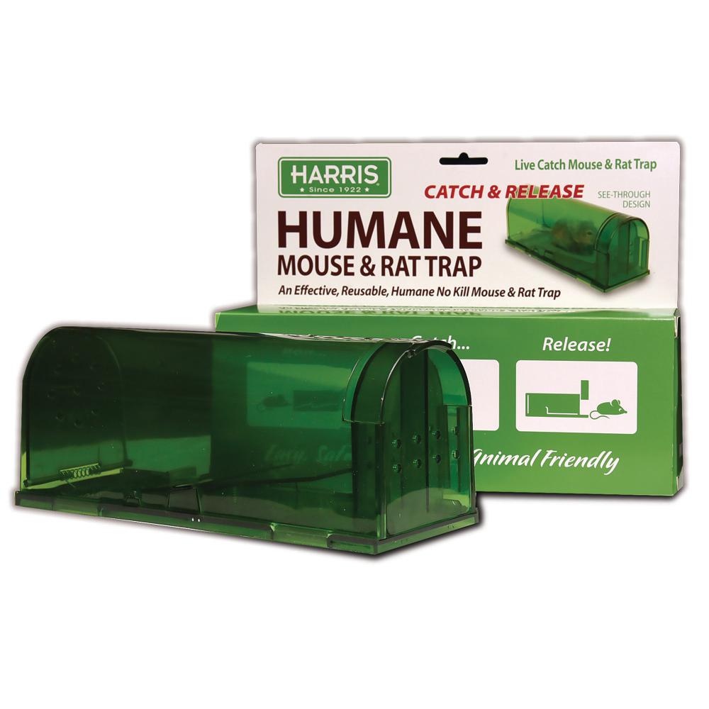 humane mouse traps that work