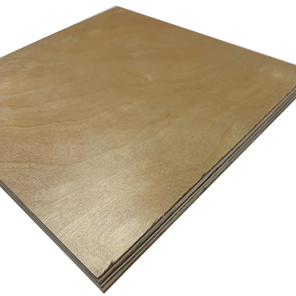 Swaner Hardwood 3/4 in. x 2 ft. x 2 ft. UV Prefinished Birch Project