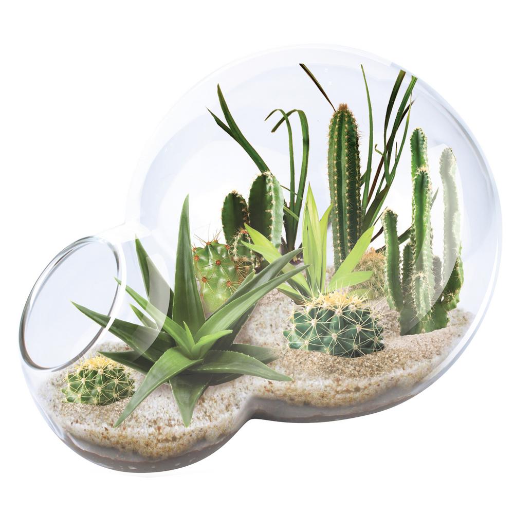 Unique Gardener Double Sphere Glass Terrariums Desert Escape Growarium Indoor Garden Terrarium Indoor Garden Seed Starter Kit The Home Depot