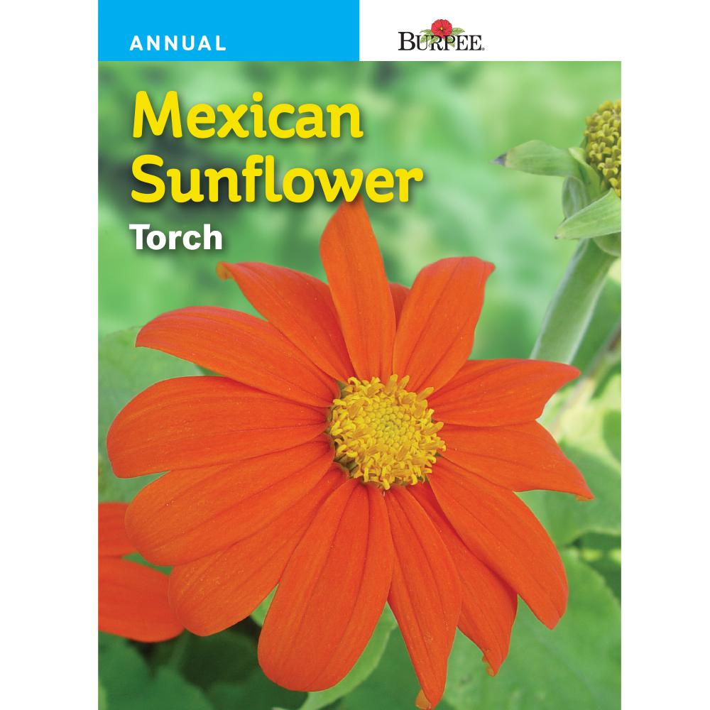 Burpee Sunflower Mexican Tithonia Torch Flower Seed-46722 - The Home Depot