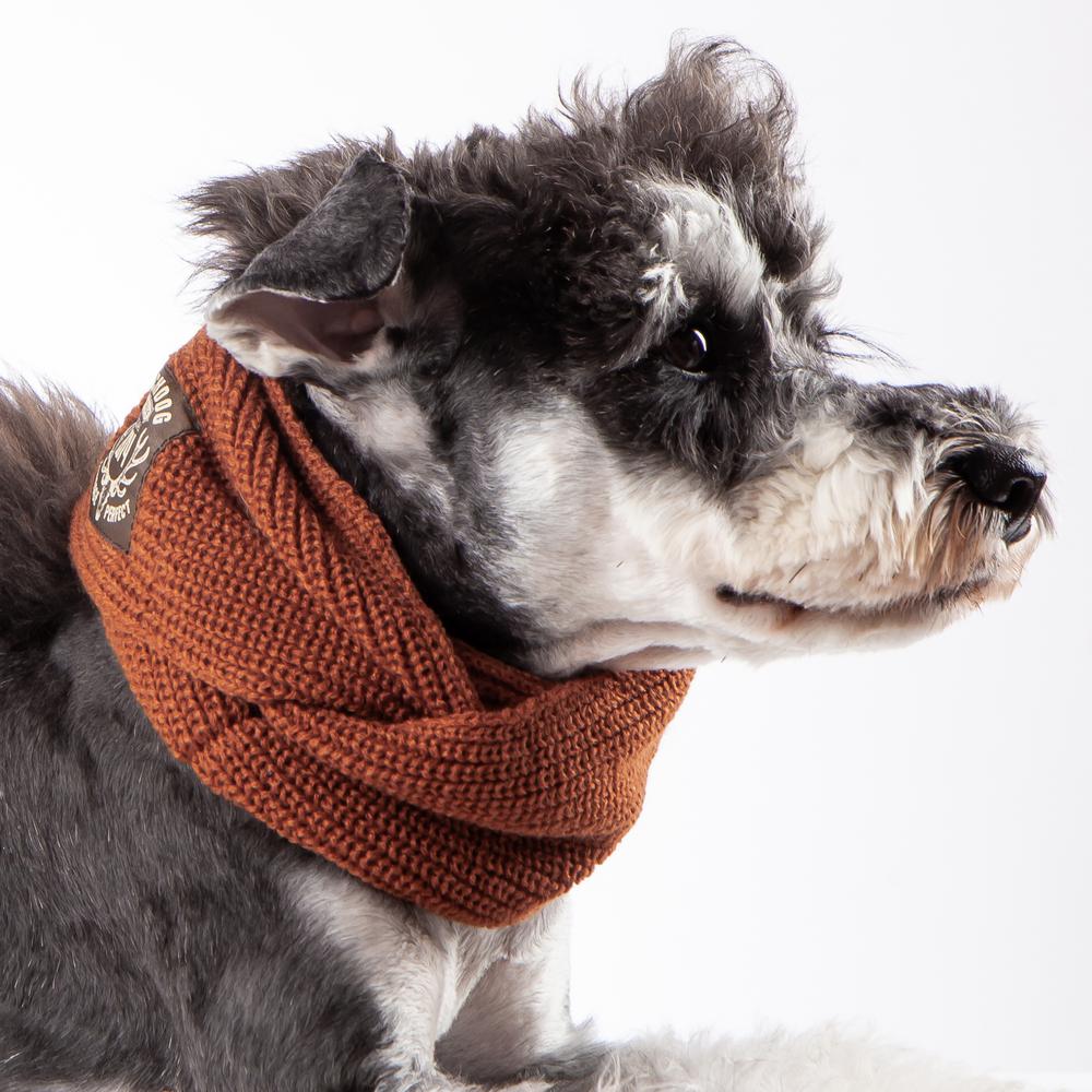 knitted dog scarf
