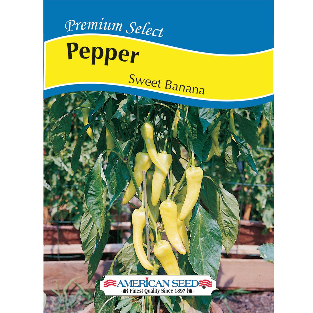 FerryMorse Radish Champion Seed0087 The Home Depot