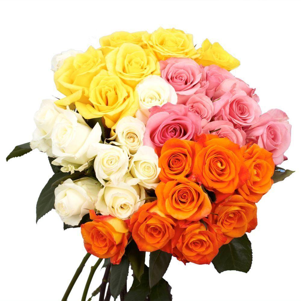 Globalrose Fresh Assorted Color Roses for Mother's Day (75 Extra Long