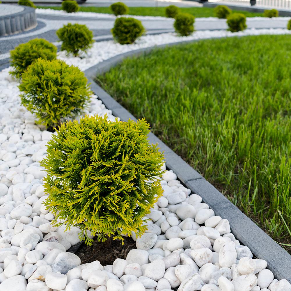 white landscaping rock