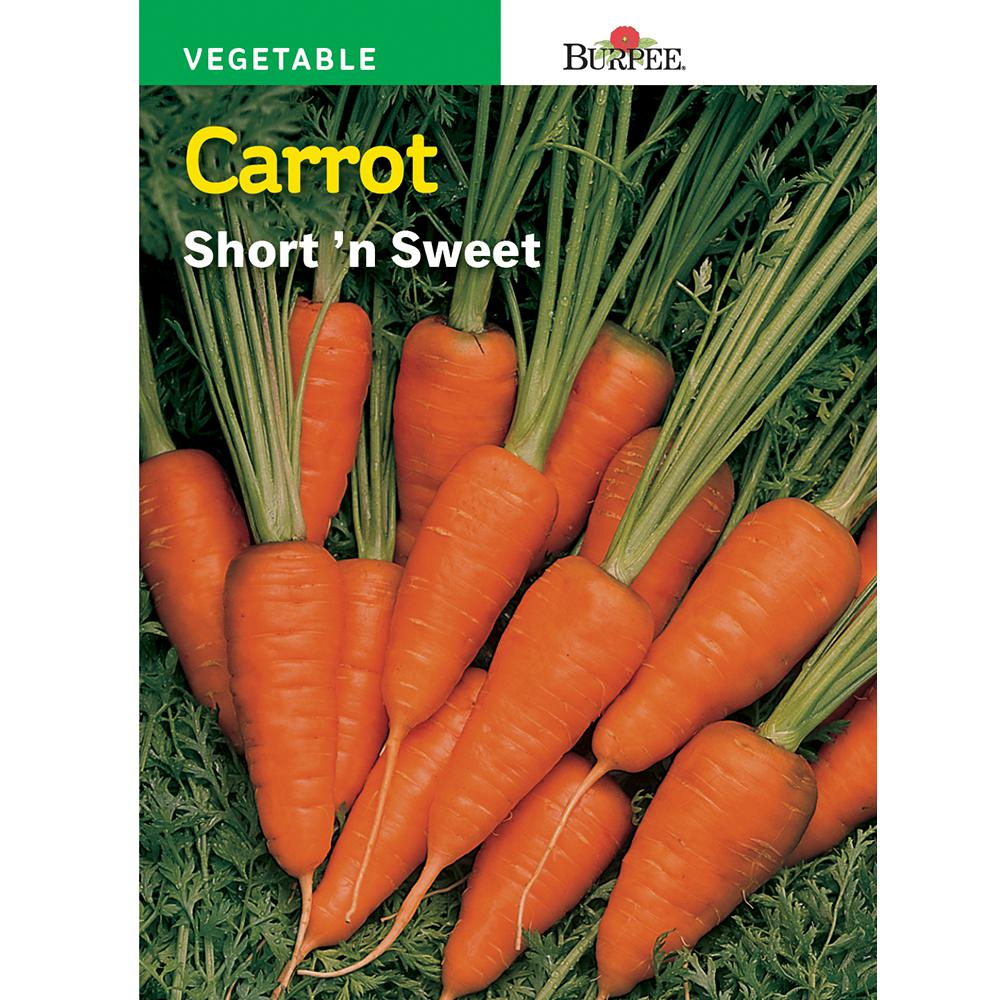 Burpee Carrot Short 'N Sweet Seed66654 The Home Depot