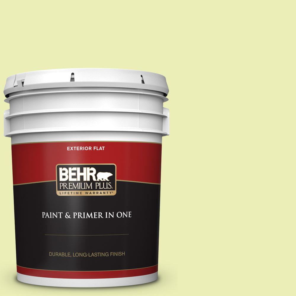 BEHR PREMIUM PLUS 5 gal. 410A2 Cabbage Green Flat Exterior Paint and Primer in One405005