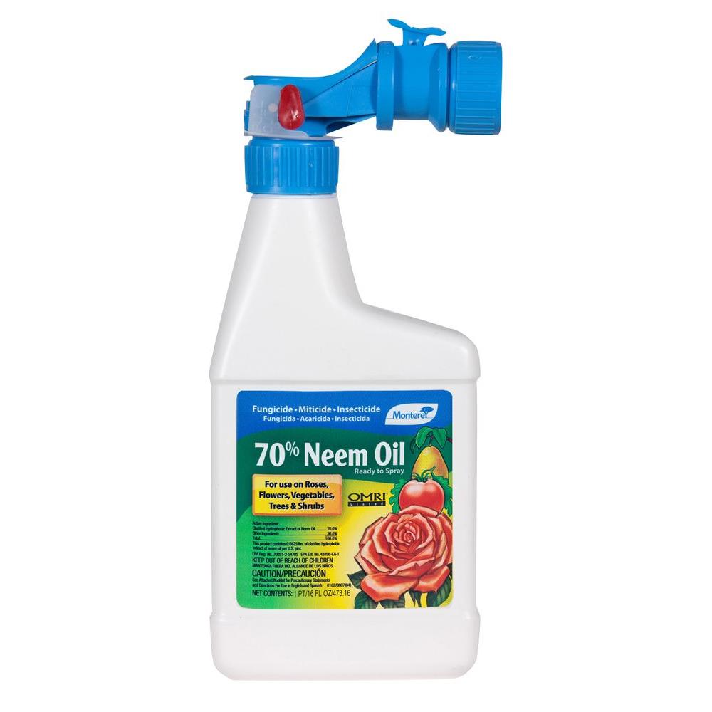 Bonide 1 Pt. Concentrate All Seasons Oil Spray Insecticide-210 ...