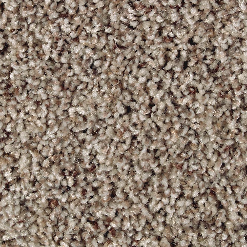  Home  Decorators  Collection  Carpet Sample Conard Color 